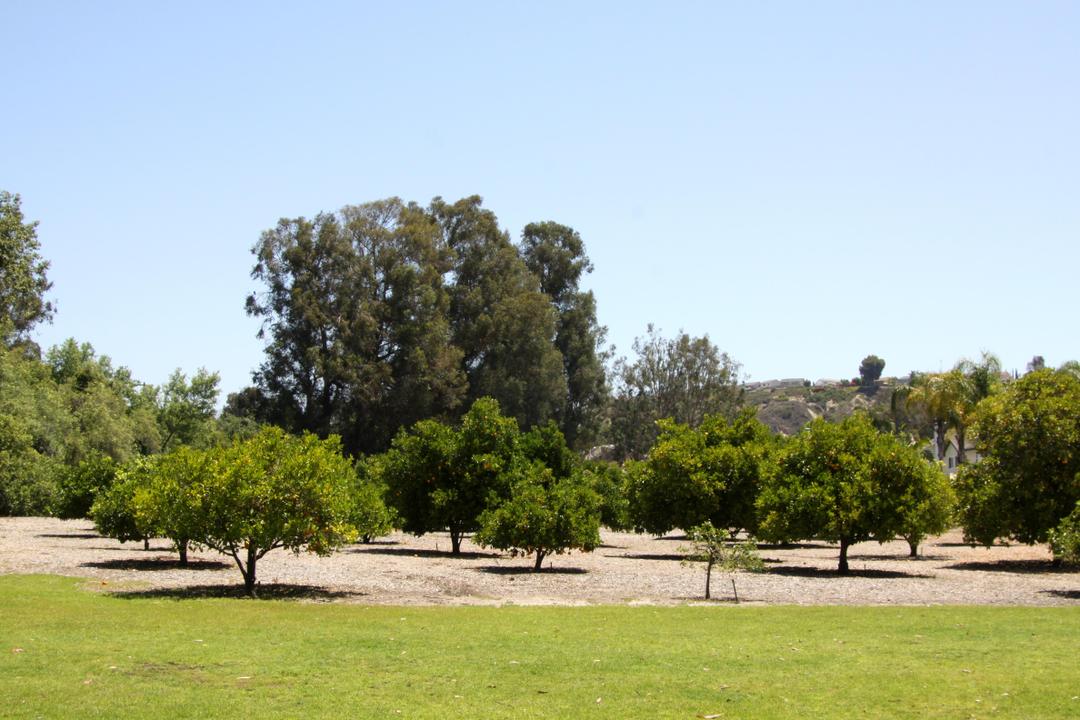 Work Image